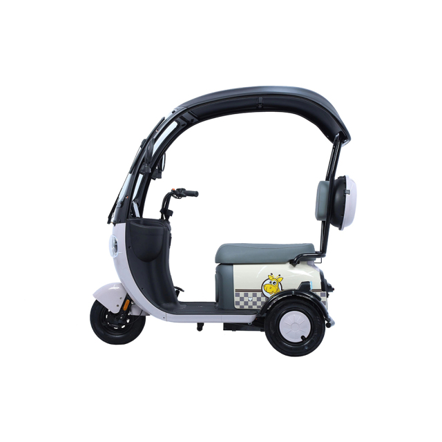 Hot Sale Cargo Ebike 3 Wheels 800W 48V Electric Bike Tricycle Three Wheel Electric Trike for Adults