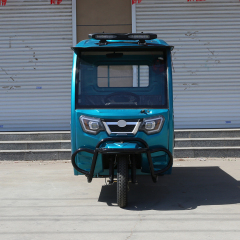 New Style Electric Tricycle Motorcycle 1200W 3 Wheel Electric Tricycle Bike for Adults