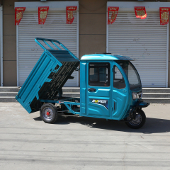 New Style Electric Tricycle Motorcycle 1200W 3 Wheel Electric Tricycle Bike for Adults