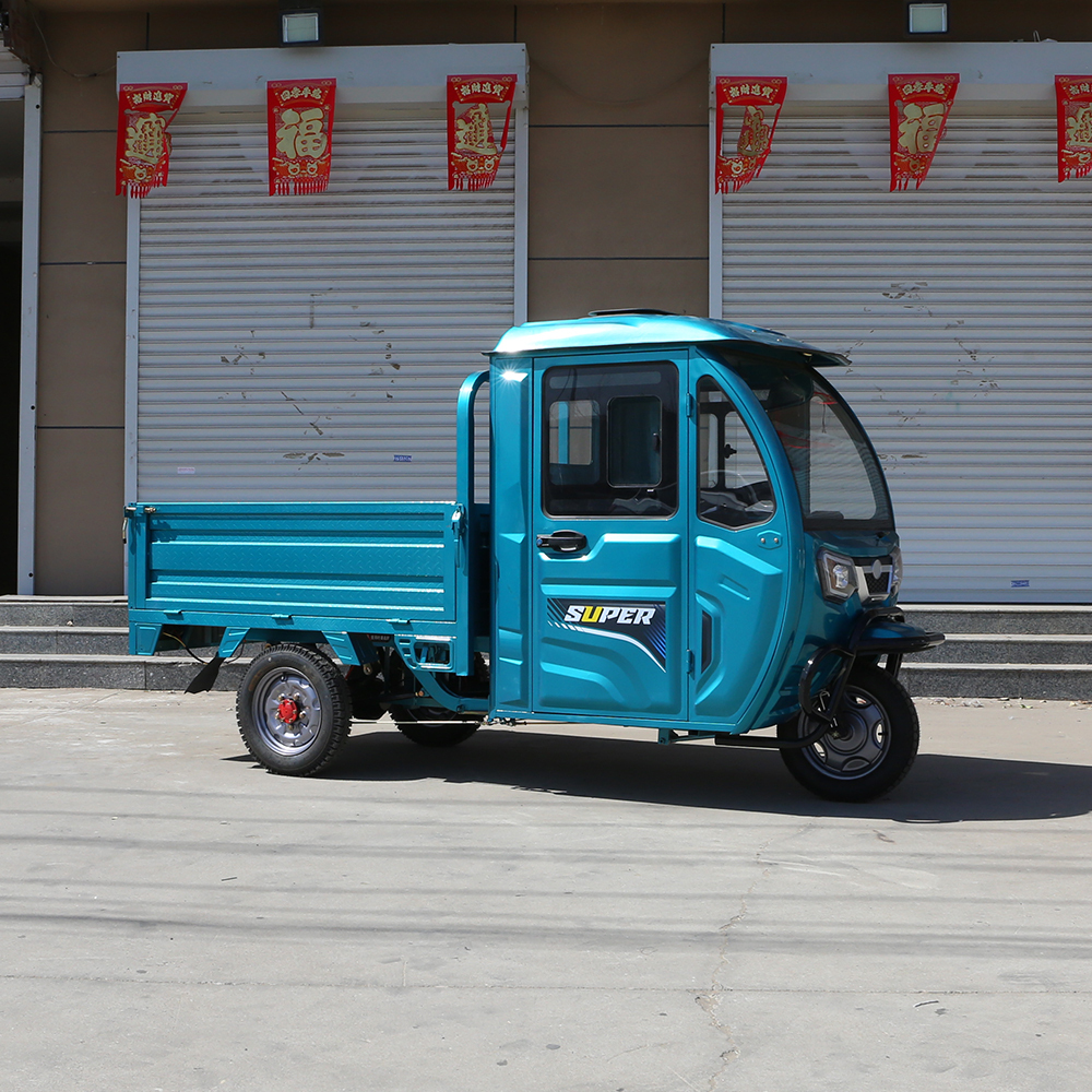 New Style Electric Tricycle Motorcycle 1200W 3 Wheel Electric Tricycle Bike for Adults