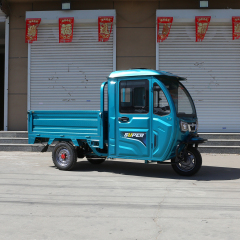 New Style Electric Tricycle Motorcycle 1200W 3 Wheel Electric Tricycle Bike for Adults