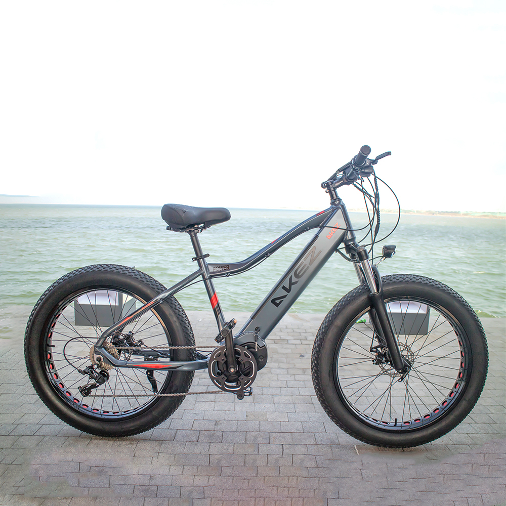 HOT SALE Aluminum Alloy 26*4.0 Fat Tire Bike Electric Mountain Bike 27 Speed Electric Fat Tire Bike