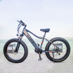 HOT SALE Aluminum Alloy 26*4.0 Fat Tire Bike Electric Mountain Bike 27 Speed Electric Fat Tire Bike