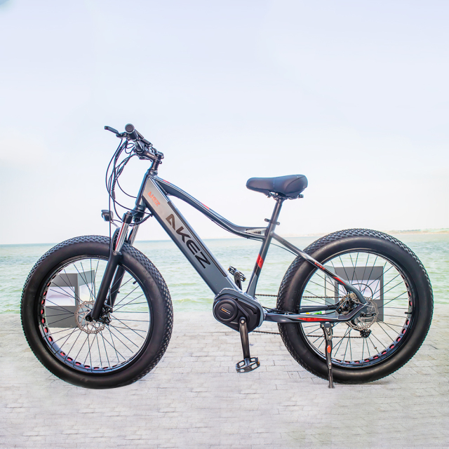 HOT SALE Aluminum Alloy 26*4.0 Fat Tire Bike Electric Mountain Bike 27 Speed Electric Fat Tire Bike