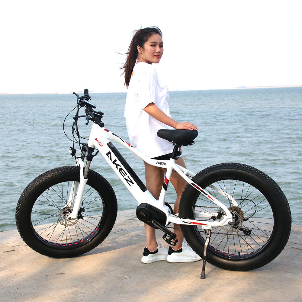 HOT SALE Aluminum Alloy 26*4.0 Fat Tire Bike Electric Mountain Bike 27 Speed Electric Fat Tire Bike