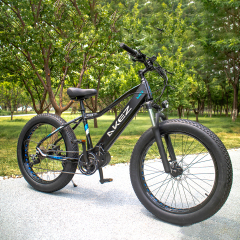 HOT SALE Aluminum Alloy 26*4.0 Fat Tire Bike Electric Mountain Bike 27 Speed Electric Fat Tire Bike