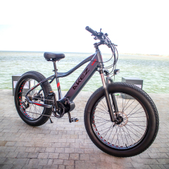 HOT SALE Aluminum Alloy 26*4.0 Fat Tire Bike Electric Mountain Bike 27 Speed Electric Fat Tire Bike