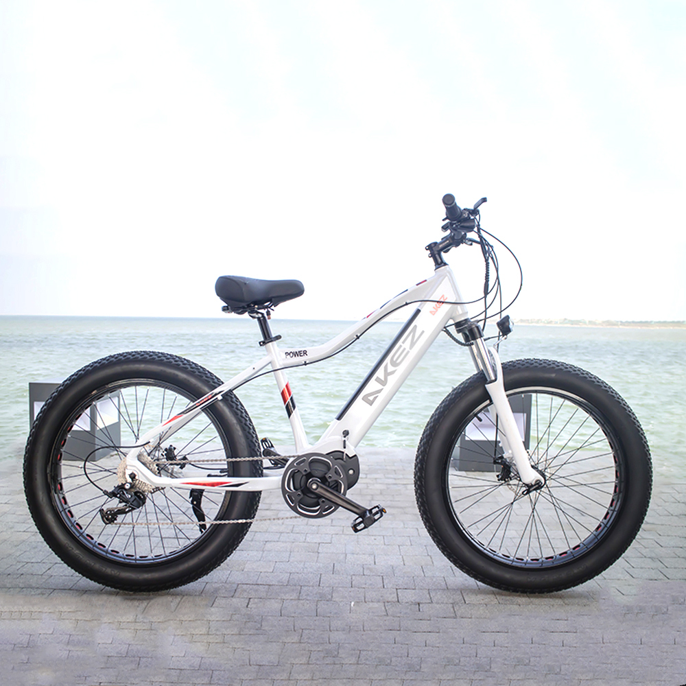 HOT SALE Aluminum Alloy 26*4.0 Fat Tire Bike Electric Mountain Bike 27 Speed Electric Fat Tire Bike