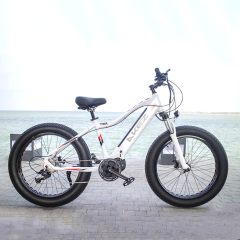HOT SALE Aluminum Alloy 26*4.0 Fat Tire Bike Electric Mountain Bike 27 Speed Electric Fat Tire Bike