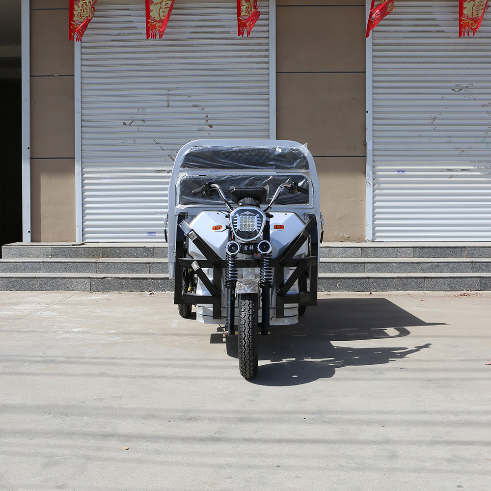 Wholesale 1200W Cargo Electric Tricycle Electric Trike Ebike 3 Wheel Electric Bicycle for Adults