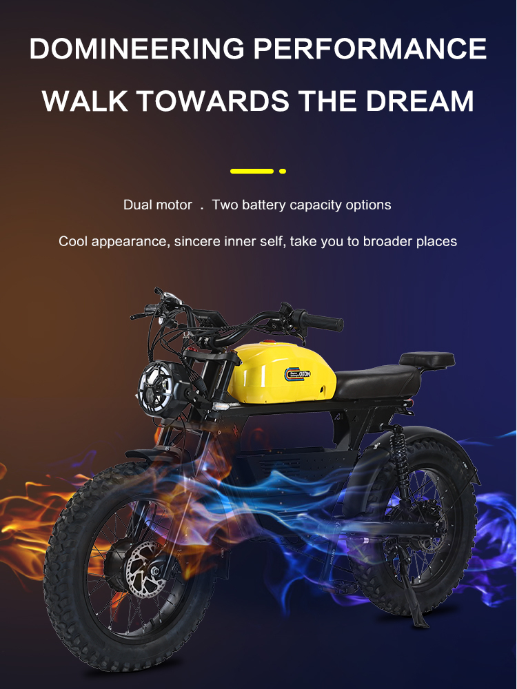 US Warehouse 3000w Dual Motor Electric Bicycle 48V 26ah Aluminum Alloy Electric Dirt Bike