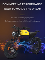 US Warehouse 3000w Dual Motor Electric Bicycle 48V 26ah Aluminum Alloy Electric Dirt Bike