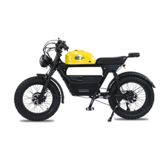US Warehouse 3000w Dual Motor Electric Bicycle 48V 26ah Aluminum Alloy Electric Dirt Bike