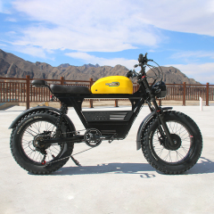 US Warehouse 3000w Dual Motor Electric Bicycle 48V 26ah Aluminum Alloy Electric Dirt Bike