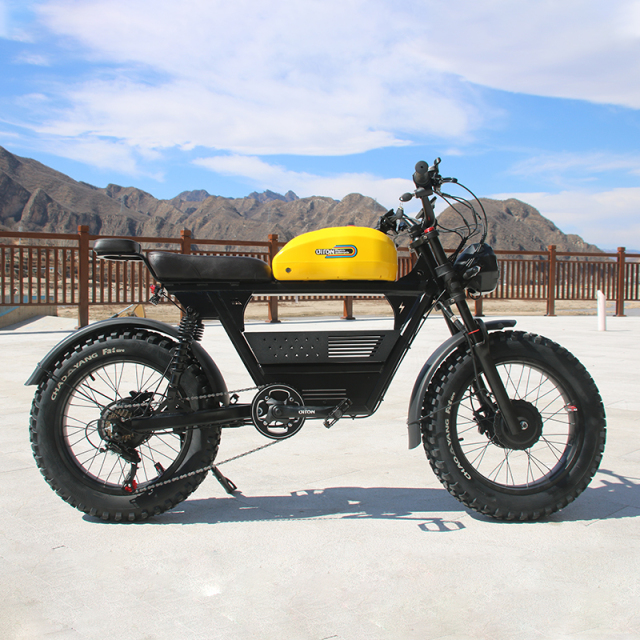US Warehouse 3000w Dual Motor Electric Bicycle 48V 26ah Aluminum Alloy Electric Dirt Bike