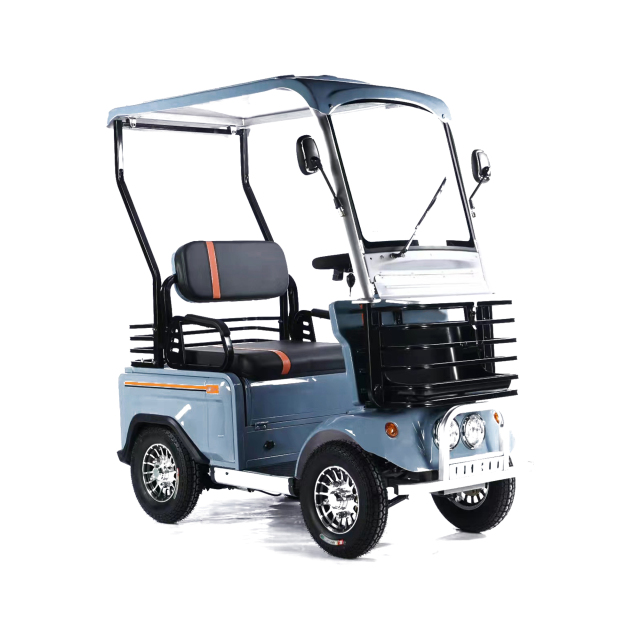 Wholesale 800W 60V Electric Elderly Mobility Scooter 4 Wheel Mutlifuction Long Range Golf Cart With Roof No Battery