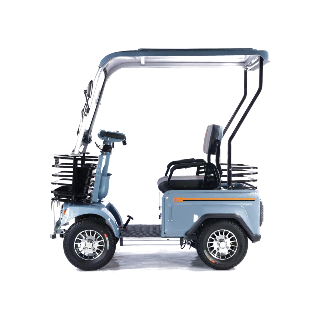 Wholesale 800W 60V Electric Elderly Mobility Scooter 4 Wheel Mutlifuction Long Range Golf Cart With Roof No Battery