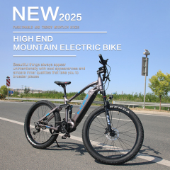 Aluminum Alloy 500W Electric Mountain Bike (EMTB) 48V Full Suspension 27.5Inch E Bike Central Motor Power Supply Lithium Battery