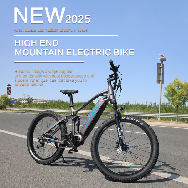 Aluminum Alloy 500W Electric Mountain Bike (EMTB) 48V Full Suspension 27.5Inch E Bike Central Motor Power Supply Lithium Battery