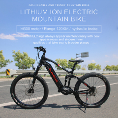 Aluminum Alloy 500W Electric Mountain Bike (EMTB) 48V Full Suspension 27.5Inch E Bike Central Motor Power Supply Lithium Battery