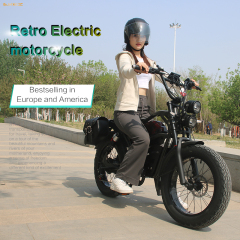 Wholesale 1500W 48V Electric Mountain Bike 20 Inch Fat Tire Electric Bicycle Electric Dirt Bike for Adults