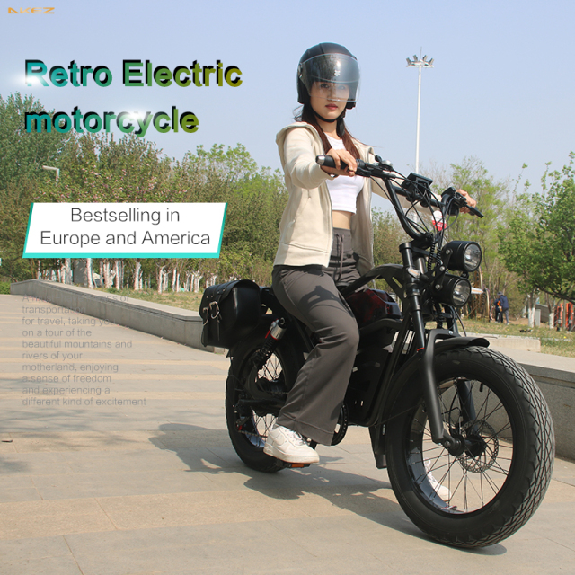 Wholesale 1500W 48V Electric Mountain Bike 20 Inch Fat Tire Electric Bicycle Electric Dirt Bike for Adults