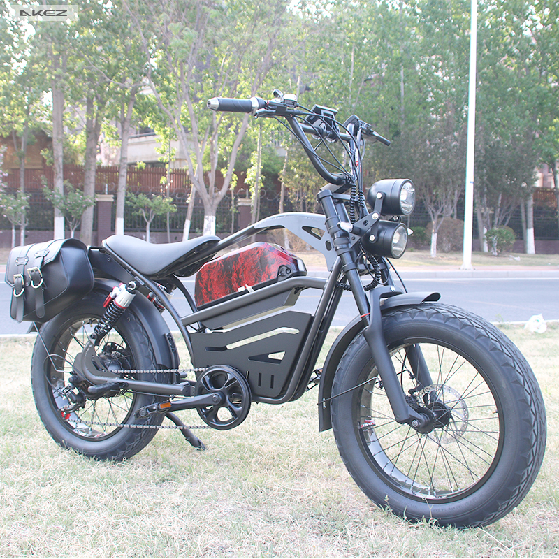Wholesale 1500W 48V Electric Mountain Bike 20 Inch Fat Tire Electric Bicycle Electric Dirt Bike for Adults