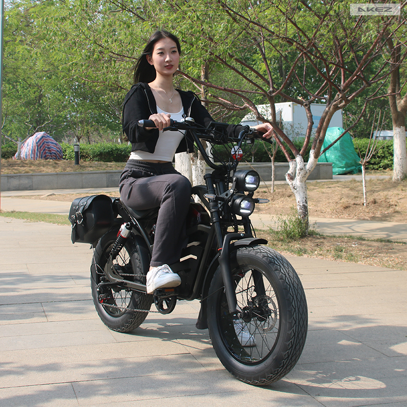 Wholesale 1500W 48V Electric Mountain Bike 20 Inch Fat Tire Electric Bicycle Electric Dirt Bike for Adults