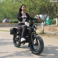 Wholesale 1500W 48V Electric Mountain Bike 20 Inch Fat Tire Electric Bicycle Electric Dirt Bike for Adults