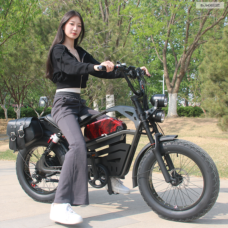 Wholesale 1500W 48V Electric Mountain Bike 20 Inch Fat Tire Electric Bicycle Electric Dirt Bike for Adults