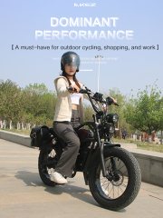 Wholesale 1500W 48V Electric Mountain Bike 20 Inch Fat Tire Electric Bicycle Electric Dirt Bike for Adults