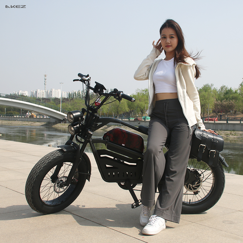 Wholesale 1500W 48V Electric Mountain Bike 20 Inch Fat Tire Electric Bicycle Electric Dirt Bike for Adults