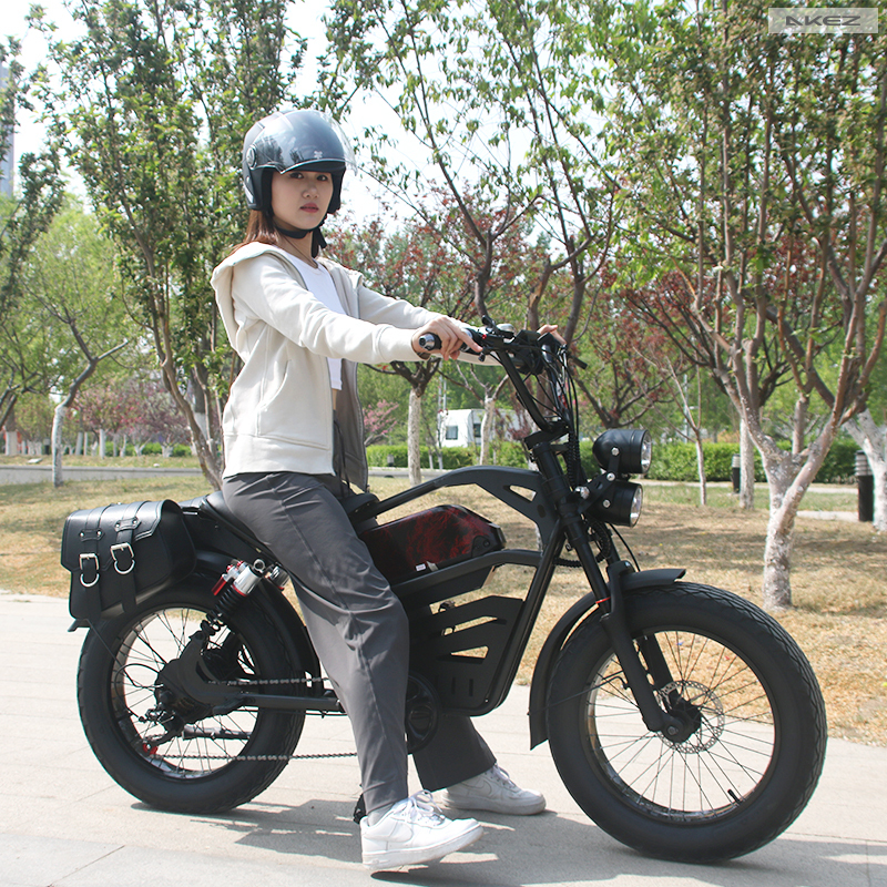 Wholesale 1500W 48V Electric Mountain Bike 20 Inch Fat Tire Electric Bicycle Electric Dirt Bike for Adults