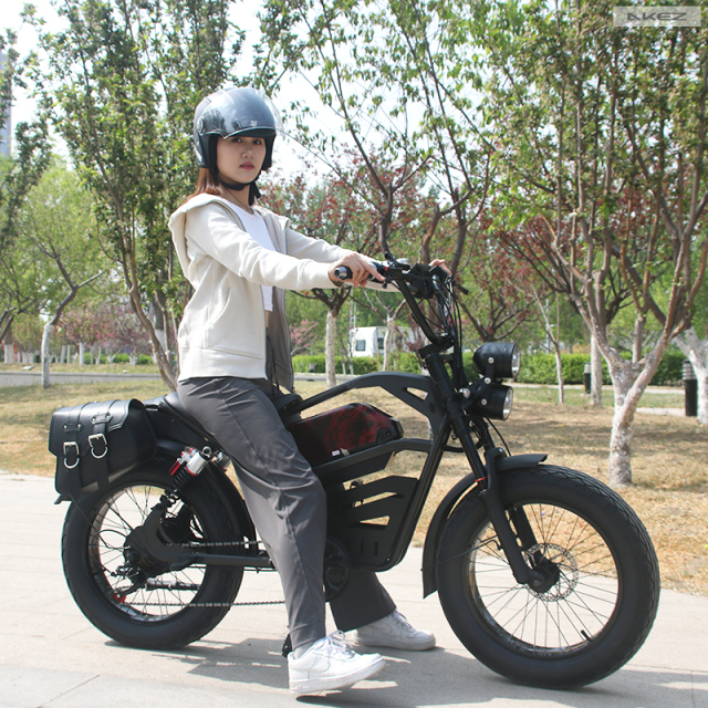 Wholesale 1500W 48V Electric Mountain Bike 20 Inch Fat Tire Electric Bicycle Electric Dirt Bike for Adults