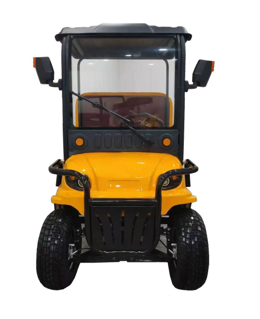 Hot sale 1500W Golf Cart Electric Bike 4 Wheel Mobility Electric Scooter With Cover