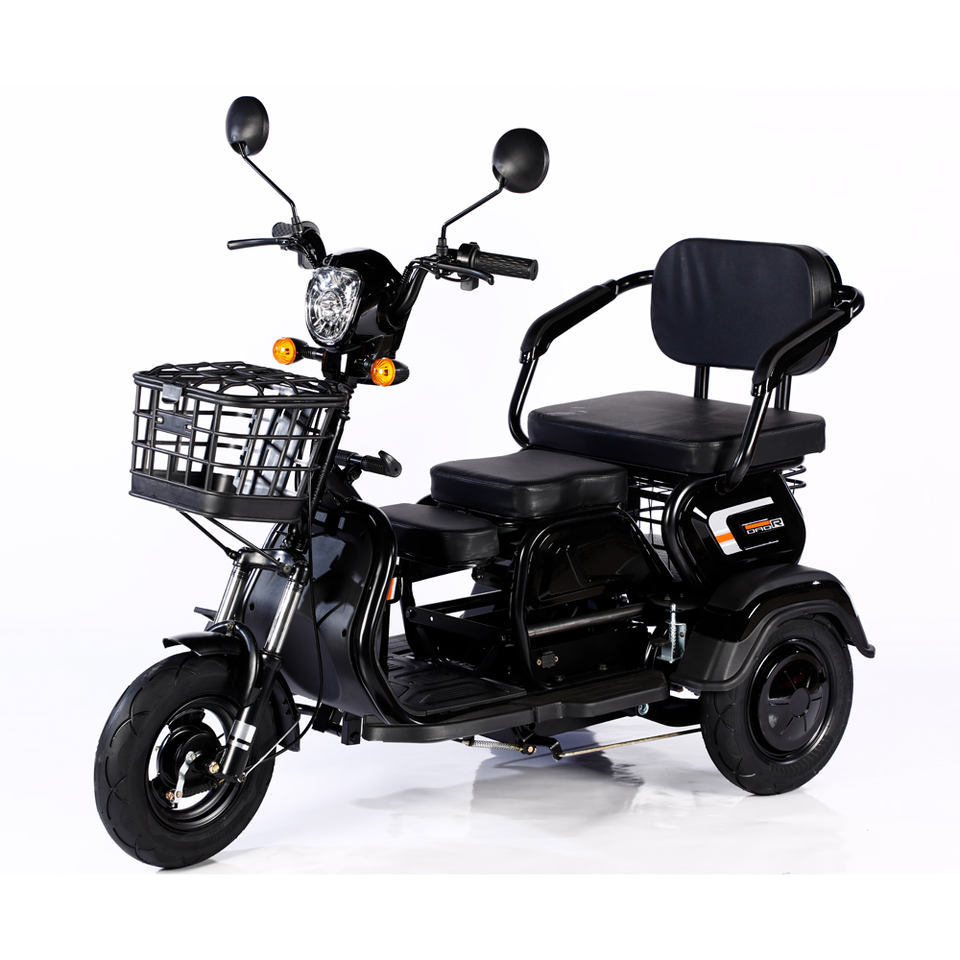 Wholesale 600W 1000W Electric Bike 3 Wheel 48V 20Ah Cargo E Bike Electric Tricycle Motorcycle for Adults