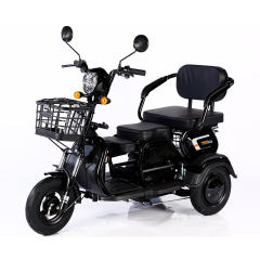 Wholesale 600W 1000W Electric Bike 3 Wheel 48V 20Ah Cargo E Bike Electric Tricycle Motorcycle for Adults