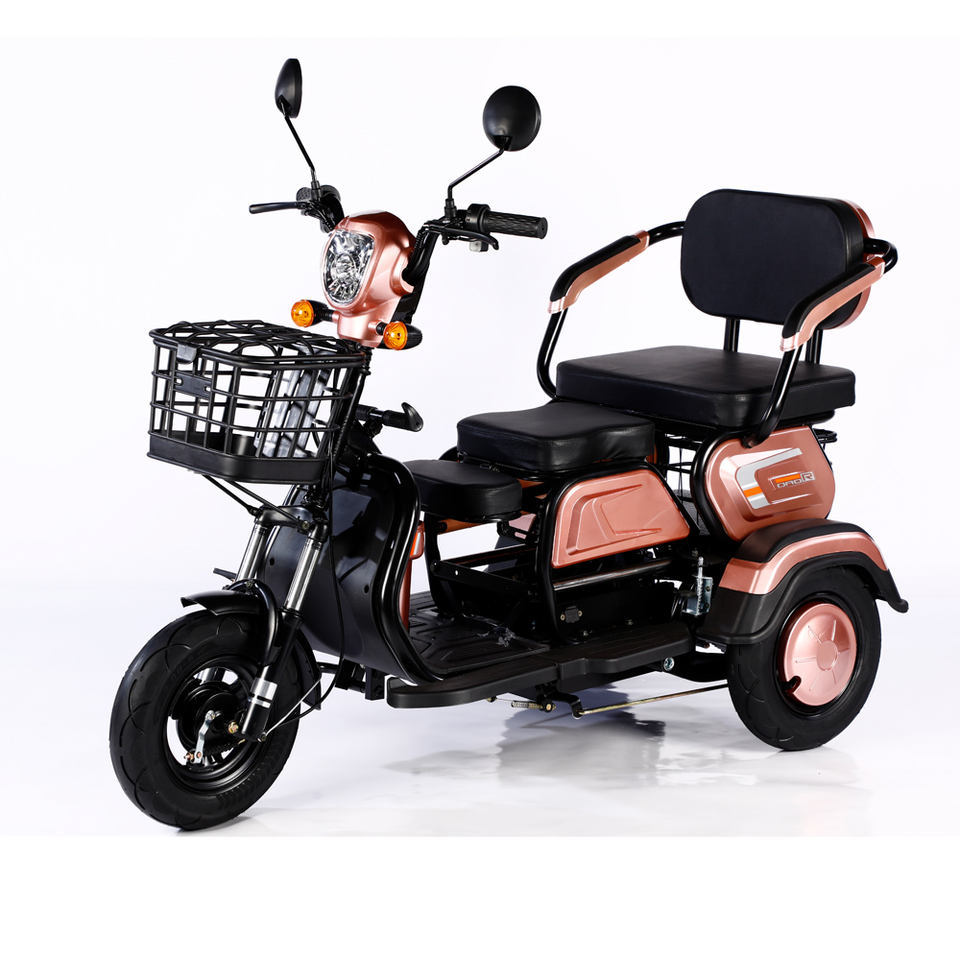 Wholesale 600W 1000W Electric Bike 3 Wheel 48V 20Ah Cargo E Bike Electric Tricycle Motorcycle for Adults