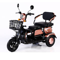 Wholesale 600W 1000W Electric Bike 3 Wheel 48V 20Ah Cargo E Bike Electric Tricycle Motorcycle for Adults