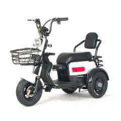 High Quality 500W 36V 3 Wheel Electric Cargo Bike Chinese Vintage Electric Cargo Tricycle With Basket
