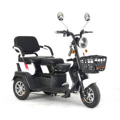 High Quality 500W 36V 3 Wheel Electric Cargo Bike Chinese Vintage Electric Cargo Tricycle With Basket