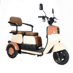 2024 New 650W Electric Tricycle Family Use Cargo Ebike 3 Wheel Electric Passenger Tricycle