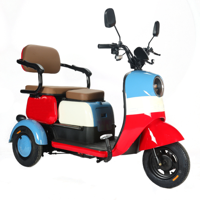 2024 New 650W Electric Tricycle Family Use Cargo Ebike 3 Wheel Electric Passenger Tricycle