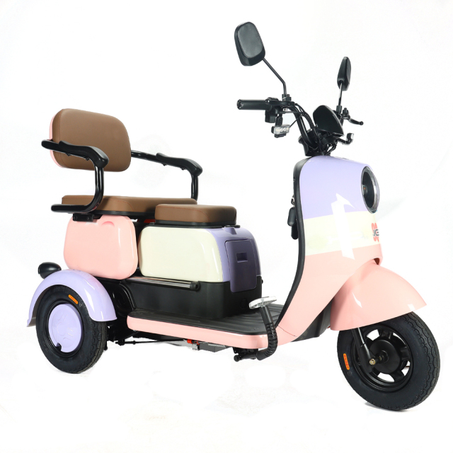 2024 New 650W Electric Tricycle Family Use Cargo Ebike 3 Wheel Electric Passenger Tricycle