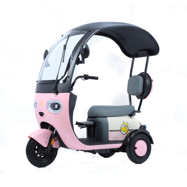 2024 New E-Bike 3 Wheels Electric Scooter 800W Family Use Electric Tricycle Bike for Adults