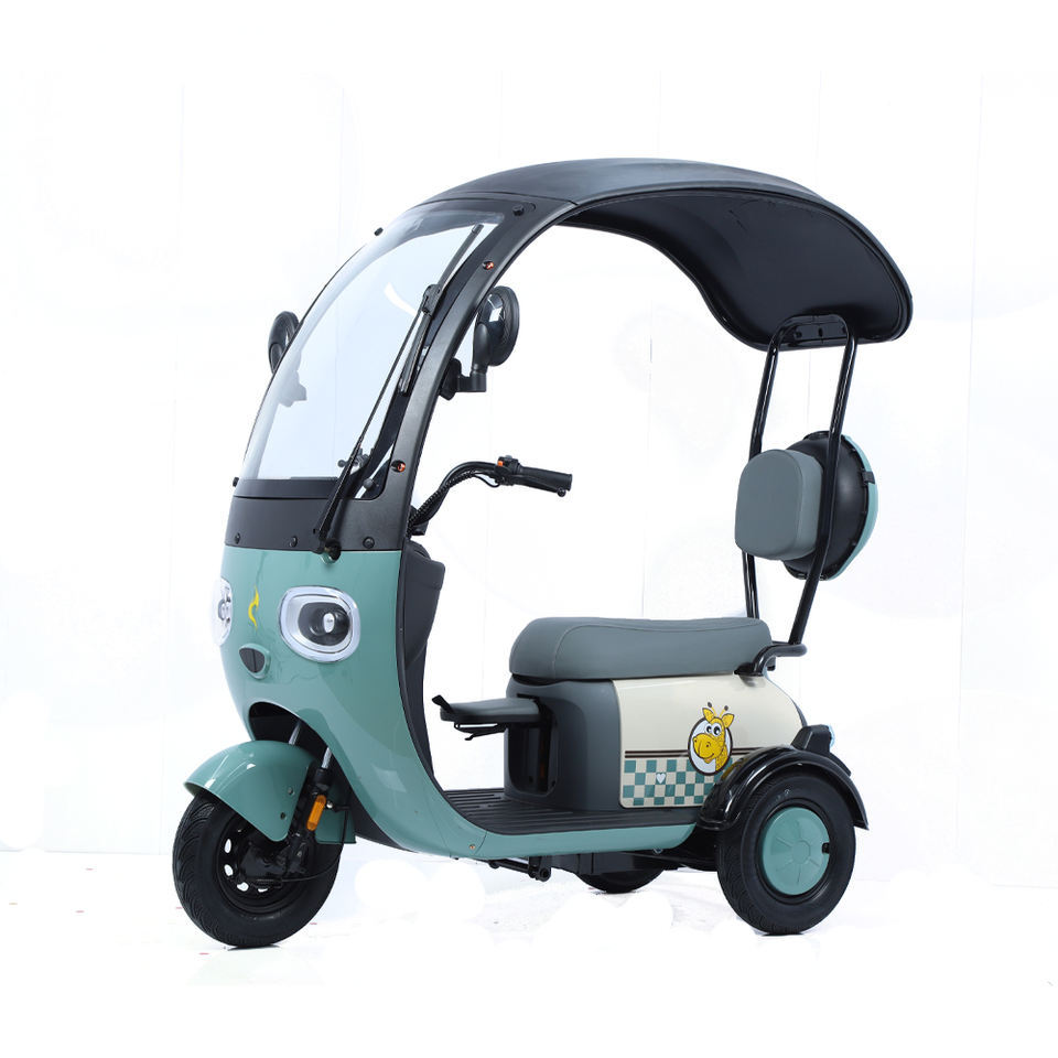 2024 New E-Bike 3 Wheels Electric Scooter 800W Family Use Electric Tricycle Bike for Adults