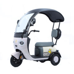2024 New E-Bike 3 Wheels Electric Scooter 800W Family Use Electric Tricycle Bike for Adults
