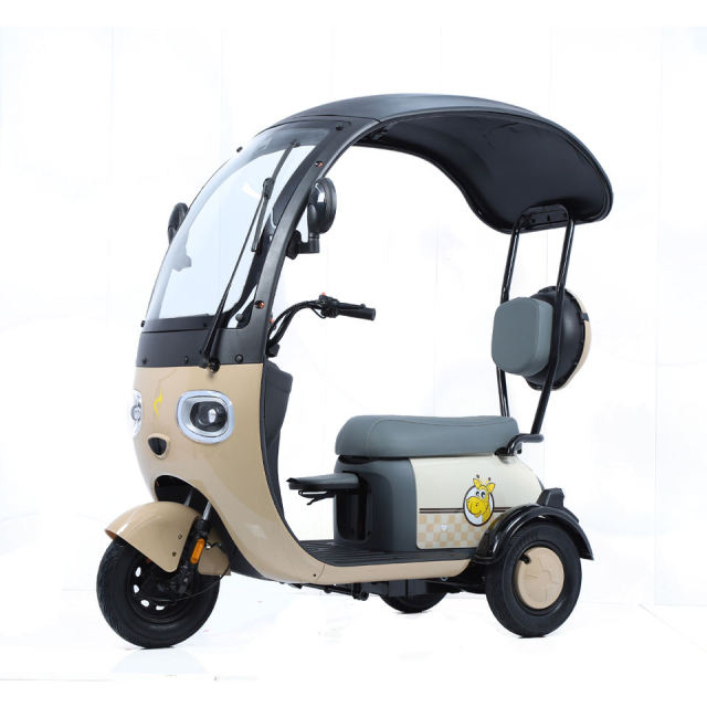 2024 New E-Bike 3 Wheels Electric Scooter 800W Family Use Electric Tricycle Bike for Adults