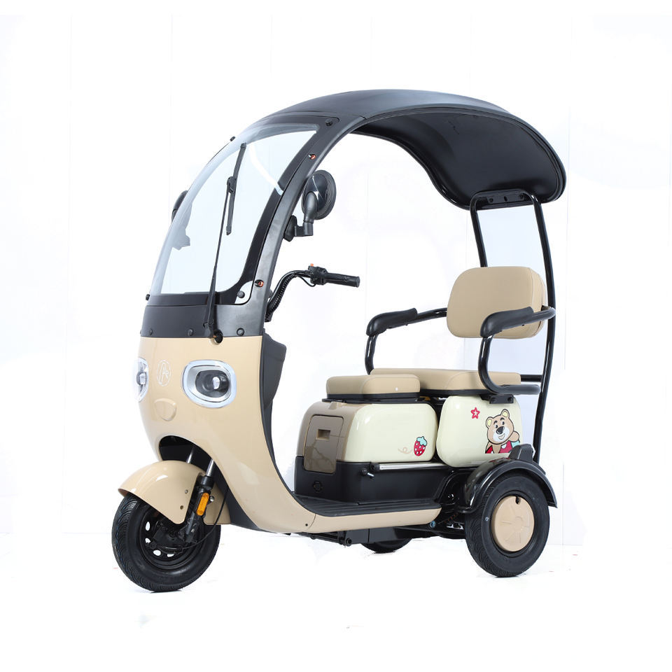 2024 Hot Sale E Trike 3 Wheel Electric Bike 800W Three Wheel Electric Cargo Tricycle for Adults