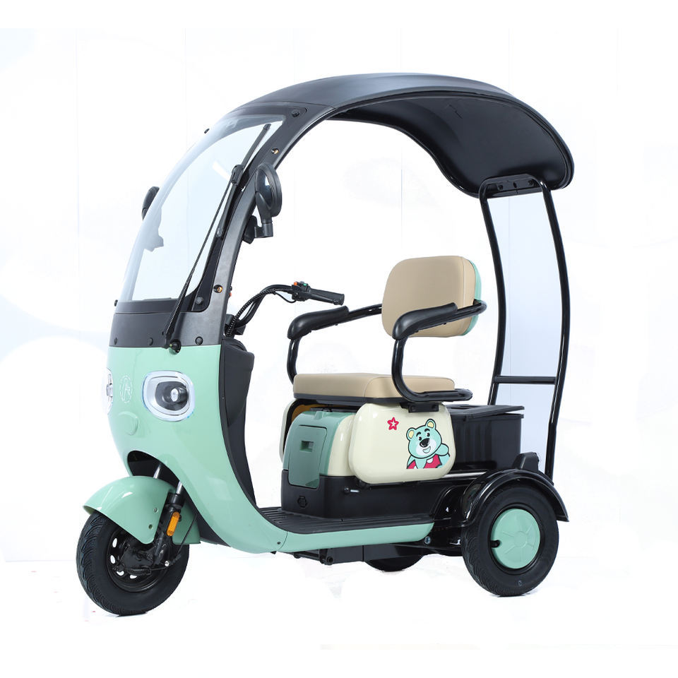 2024 Hot Sale E Trike 3 Wheel Electric Bike 800W Three Wheel Electric Cargo Tricycle for Adults